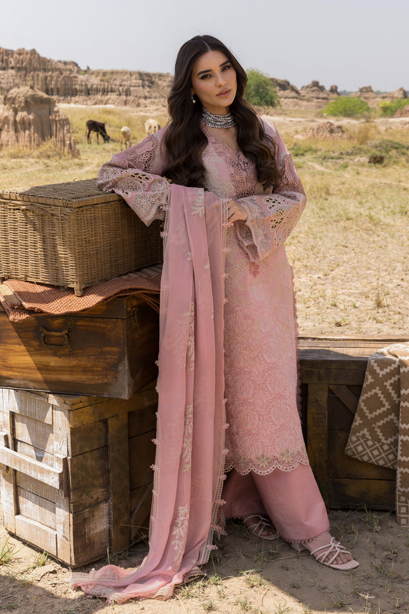 Rang Rasiya Premium Embroidered Lawn Unstitched 3Pc Suit D-02 AYSEL