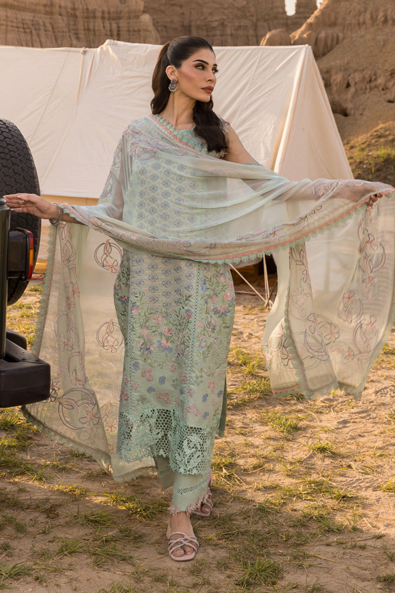 Rang Rasiya Premium Embroidered Lawn Unstitched 3Pc Suit D-08 NADINE