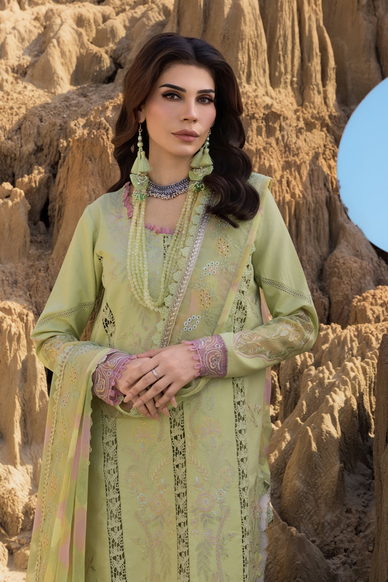 Rang Rasiya Premium Embroidered Lawn Unstitched 3Pc Suit D-10 RANIA