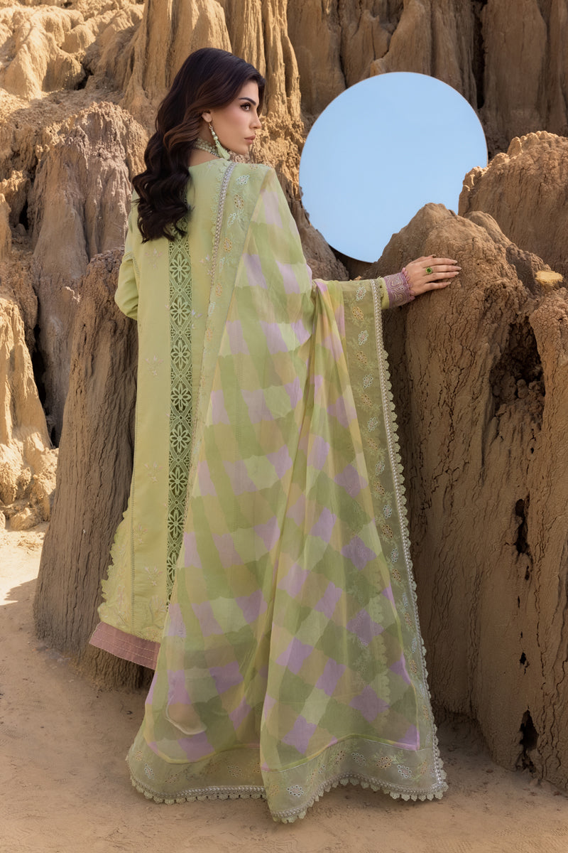 Rang Rasiya Premium Embroidered Lawn Unstitched 3Pc Suit D-10 RANIA