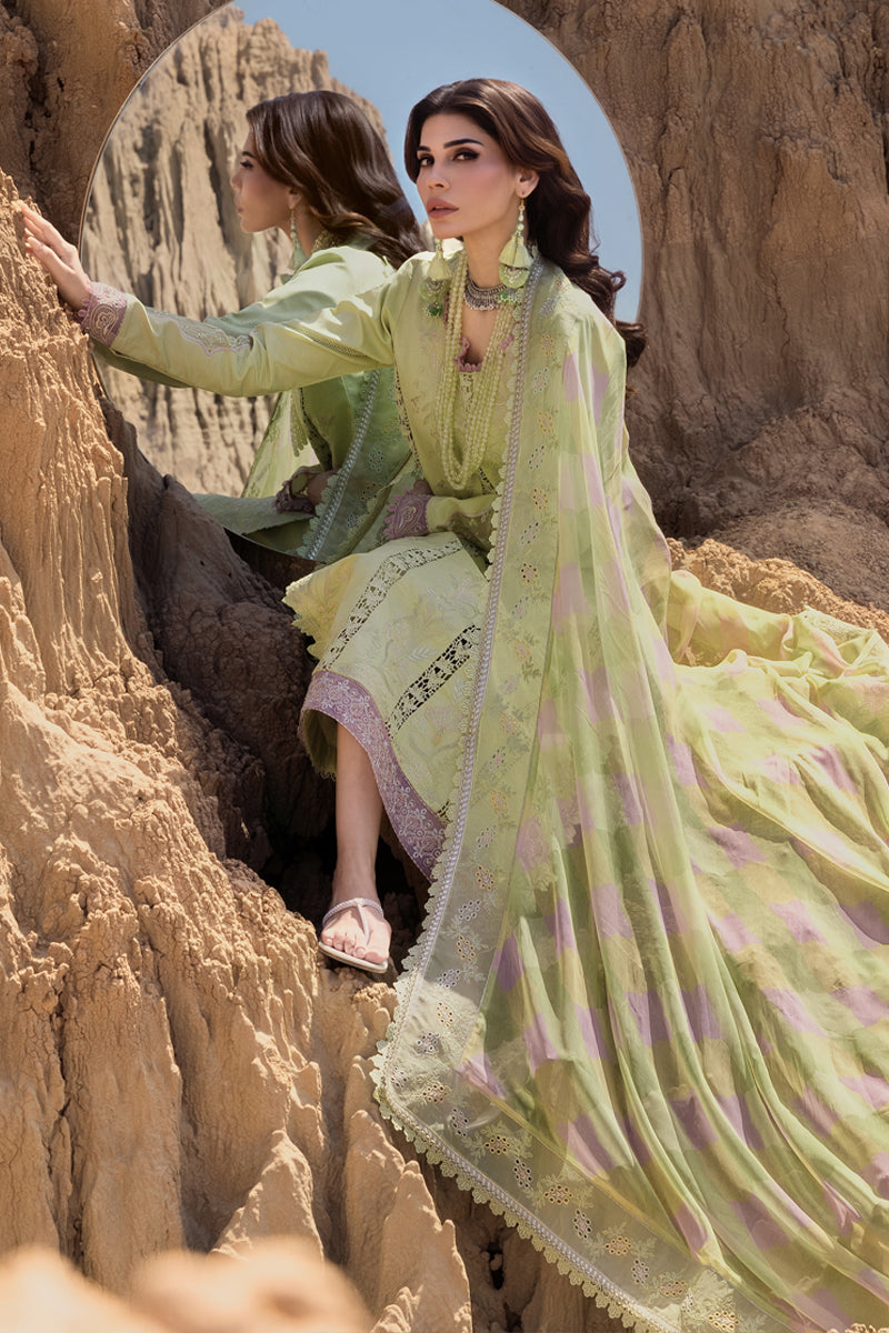 Rang Rasiya Premium Embroidered Lawn Unstitched 3Pc Suit D-10 RANIA