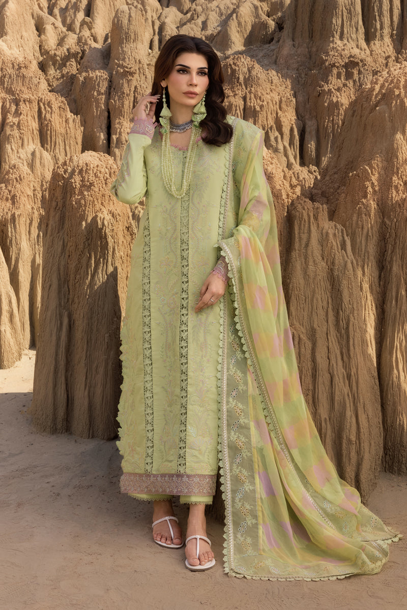 Rang Rasiya Premium Embroidered Lawn Unstitched 3Pc Suit D-10 RANIA