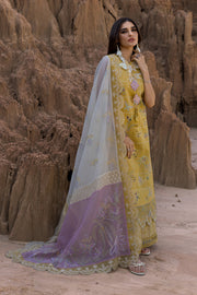 Rang Rasiya Premium Embroidered Lawn Unstitched 3Pc Suit D-11 NADIA