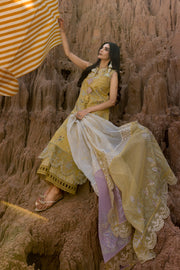 Rang Rasiya Premium Embroidered Lawn Unstitched 3Pc Suit D-11 NADIA