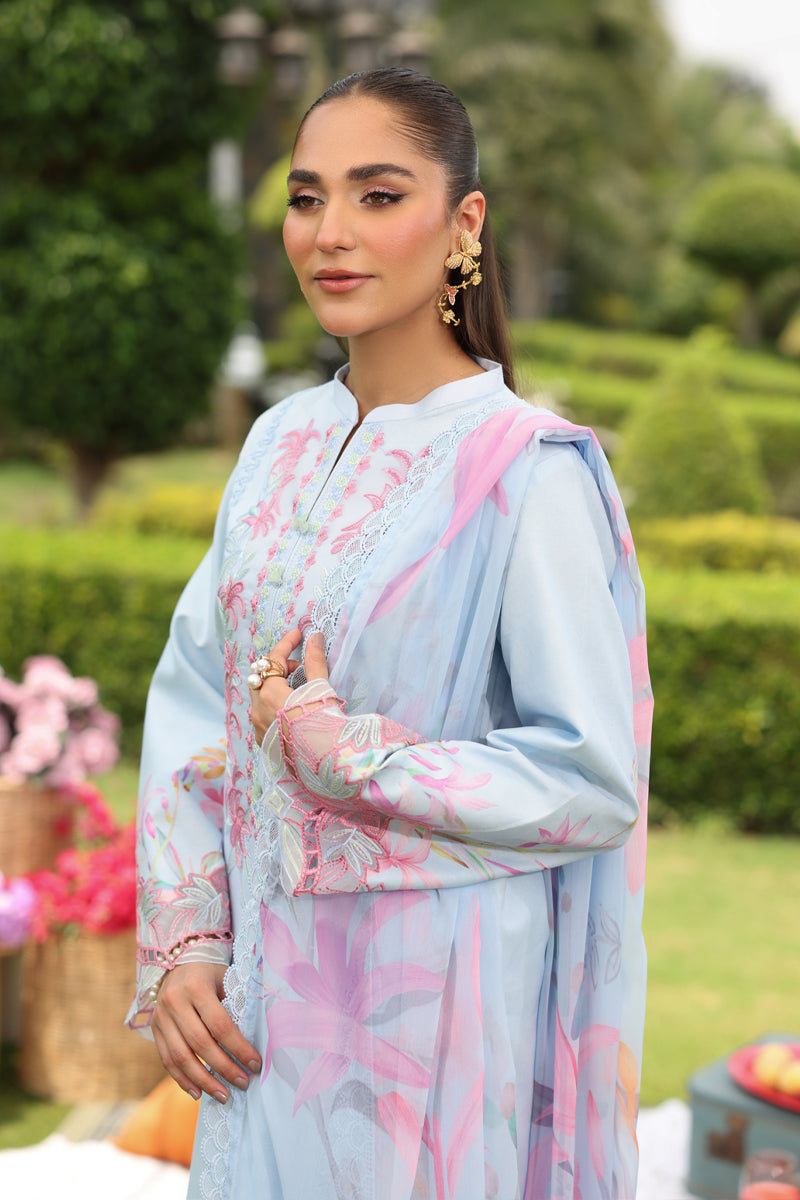 Rang Rasiya Lifestyle Embroidered Lawn Unstitched 3Pc Suit D-07 LARA