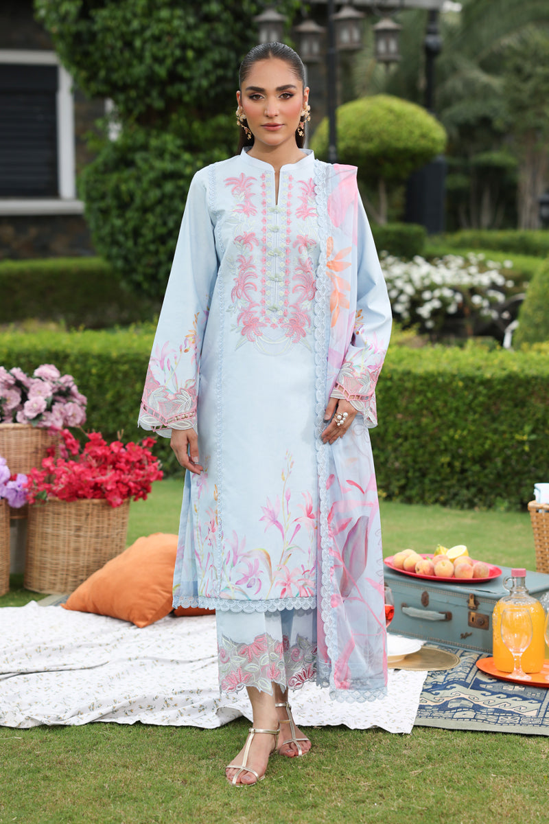 Rang Rasiya Lifestyle Embroidered Lawn Unstitched 3Pc Suit D-07 LARA