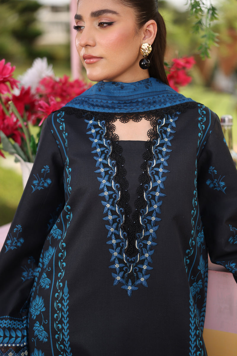 Rang Rasiya Lifestyle Embroidered Lawn Unstitched 3Pc Suit D-10 USHNA
