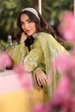 Rang Rasiya Lifestyle Embroidered Lawn Unstitched 3Pc Suit D-11 ELYSIA