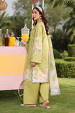 Rang Rasiya Lifestyle Embroidered Lawn Unstitched 3Pc Suit D-11 ELYSIA