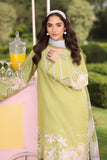 Rang Rasiya Lifestyle Embroidered Lawn Unstitched 3Pc Suit D-11 ELYSIA