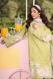 Rang Rasiya Lifestyle Embroidered Lawn Unstitched 3Pc Suit D-11 ELYSIA