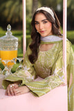 Rang Rasiya Lifestyle Embroidered Lawn Unstitched 3Pc Suit D-11 ELYSIA