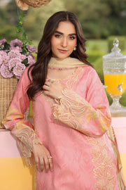 Rang Rasiya Lifestyle Embroidered Lawn Unstitched 3Pc Suit D-12 VANEEZA