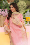 Rang Rasiya Lifestyle Embroidered Lawn Unstitched 3Pc Suit D-12 VANEEZA