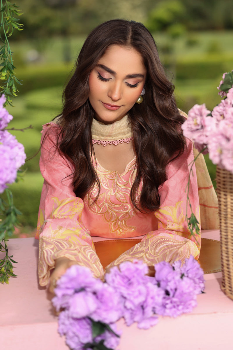 Rang Rasiya Lifestyle Embroidered Lawn Unstitched 3Pc Suit D-12 VANEEZA