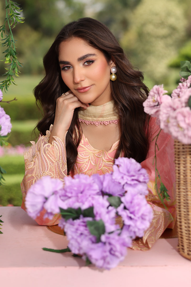 Rang Rasiya Lifestyle Embroidered Lawn Unstitched 3Pc Suit D-12 VANEEZA