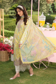 Rang Rasiya Lifestyle Embroidered Lawn Unstitched 3Pc Suit D-14 REENA