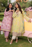 Rang Rasiya Lifestyle Embroidered Lawn Unstitched 3Pc Suit D-14 REENA