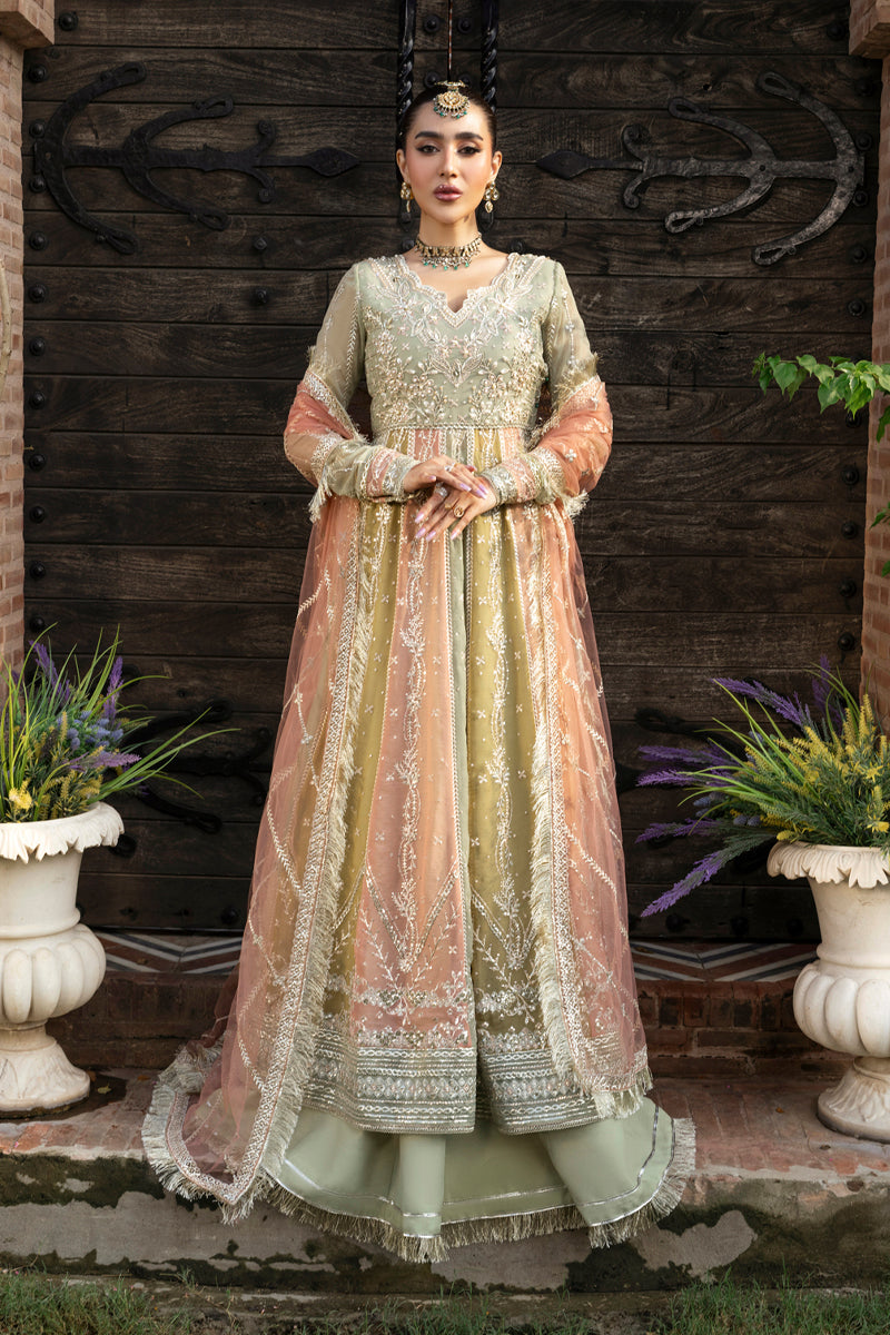 Rang Rasiya Embroidered Chiffon Unstitched 3Pc Suit D-02 AMIL