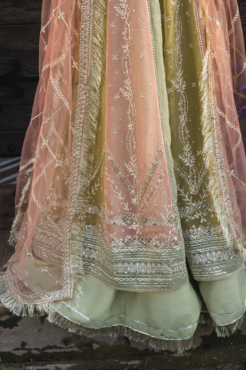 Rang Rasiya Embroidered Chiffon Unstitched 3Pc Suit D-02 AMIL