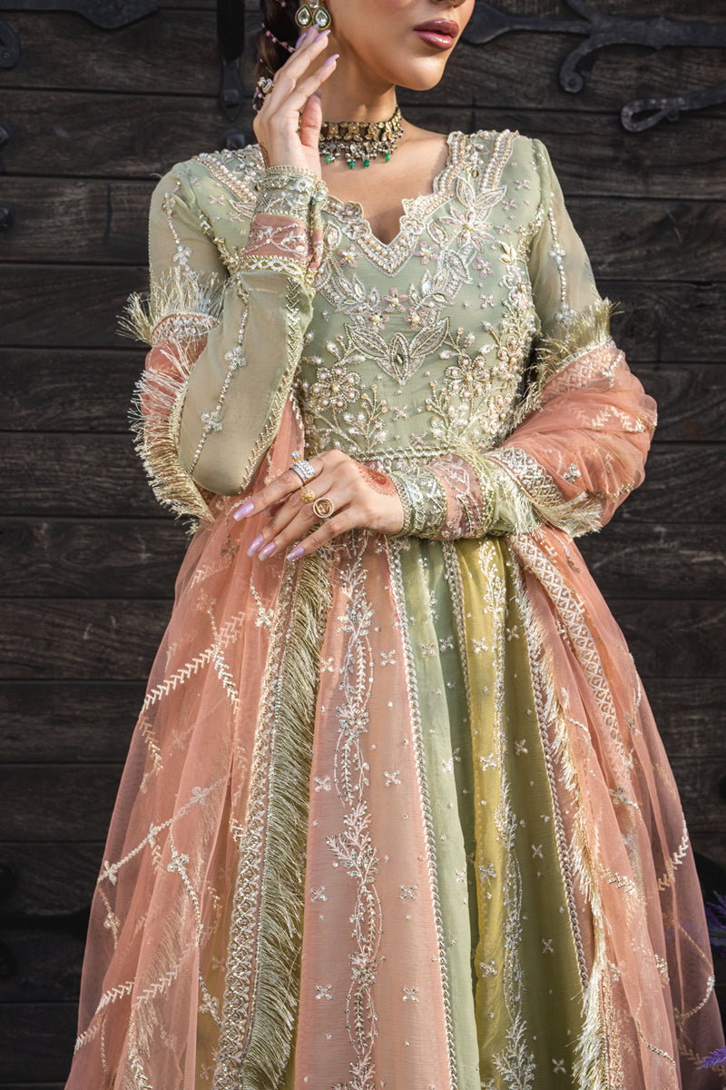 Rang Rasiya Embroidered Chiffon Unstitched 3Pc Suit D-02 AMIL