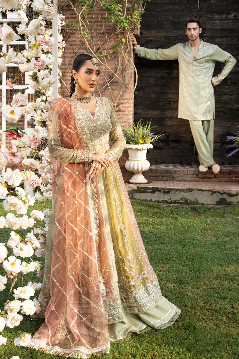 Rang Rasiya Embroidered Chiffon Unstitched 3Pc Suit D-02 AMIL