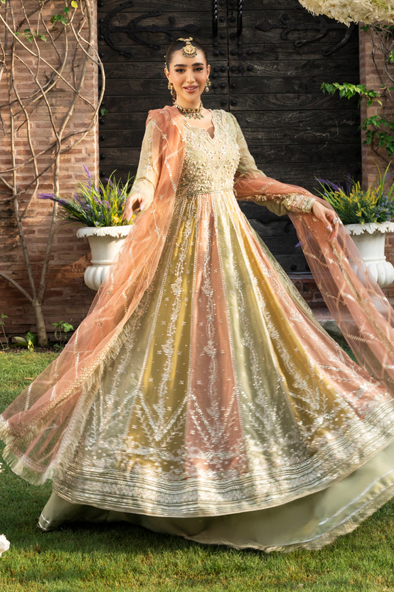 Rang Rasiya Embroidered Chiffon Unstitched 3Pc Suit D-02 AMIL