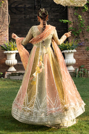 Rang Rasiya Embroidered Chiffon Unstitched 3Pc Suit D-02 AMIL