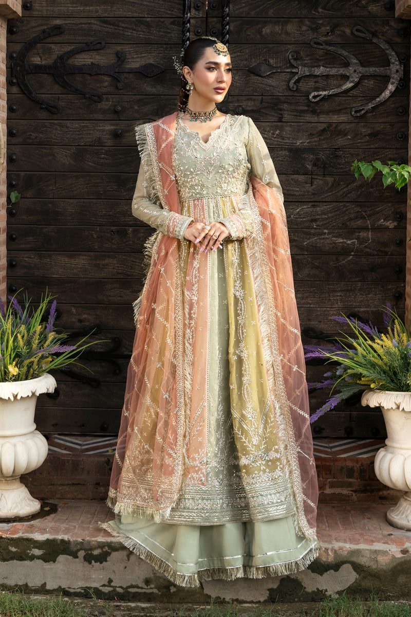 Rang Rasiya Embroidered Chiffon Unstitched 3Pc Suit D-02 AMIL