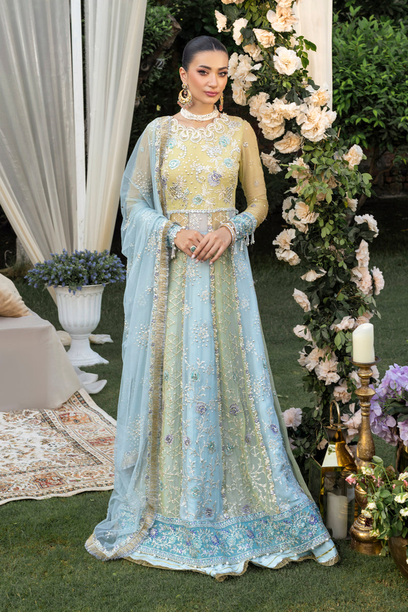 Rang Rasiya Embroidered Chiffon Unstitched 3Pc Suit D-03 SAMARA