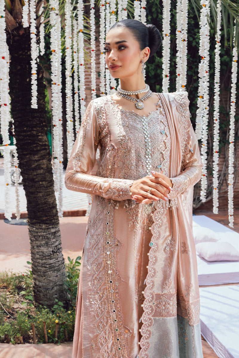 Rang Rasiya Embroidered Organza Unstitched 3Pc Suit D-06 NAYAB