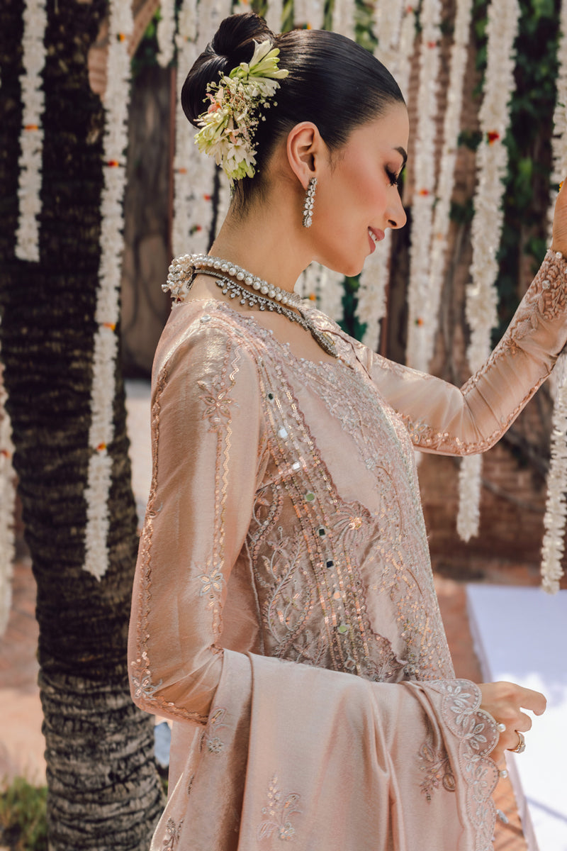 Rang Rasiya Embroidered Organza Unstitched 3Pc Suit D-06 NAYAB