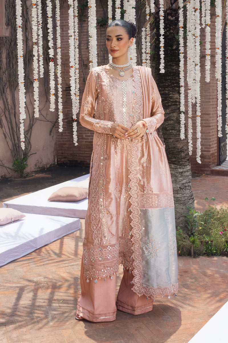 Rang Rasiya Embroidered Organza Unstitched 3Pc Suit D-06 NAYAB