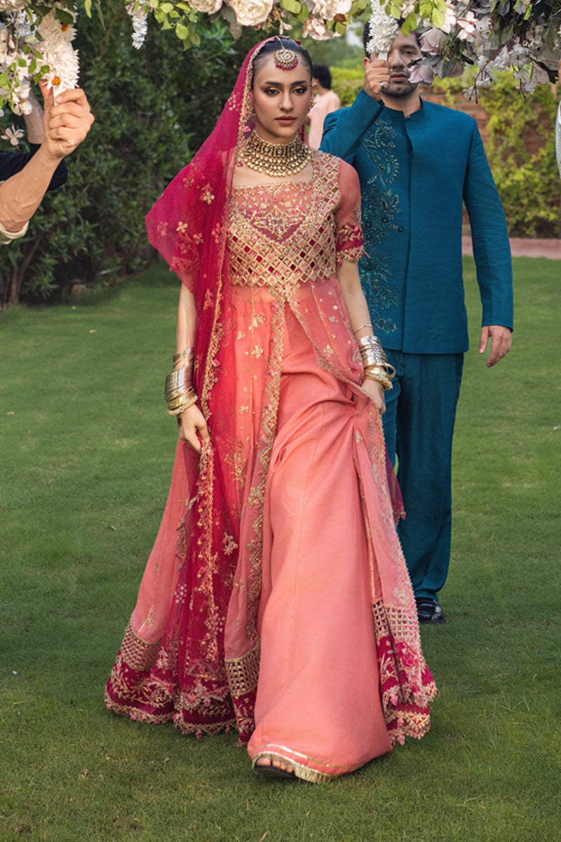 Rang Rasiya Embroidered Organza Unstitched 3Pc Suit D-10 NARMEEN