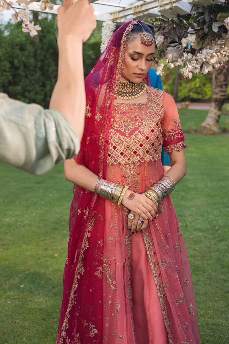 Rang Rasiya Embroidered Organza Unstitched 3Pc Suit D-10 NARMEEN