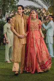 Rang Rasiya Embroidered Organza Unstitched 3Pc Suit D-10 NARMEEN