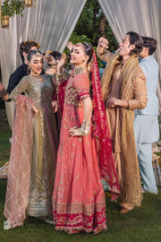 Rang Rasiya Embroidered Organza Unstitched 3Pc Suit D-10 NARMEEN