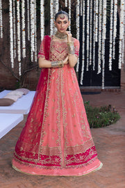 Rang Rasiya Embroidered Organza Unstitched 3Pc Suit D-10 NARMEEN