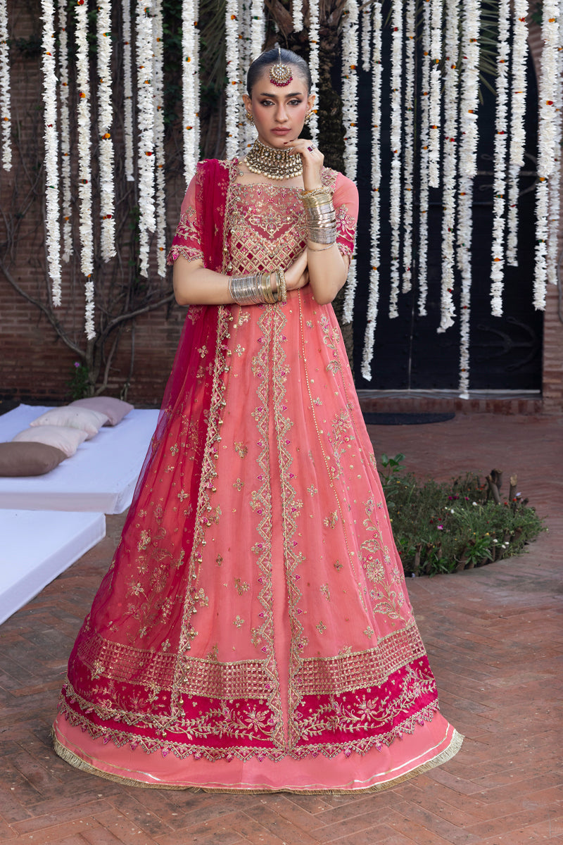 Rang Rasiya Embroidered Organza Unstitched 3Pc Suit D-10 NARMEEN