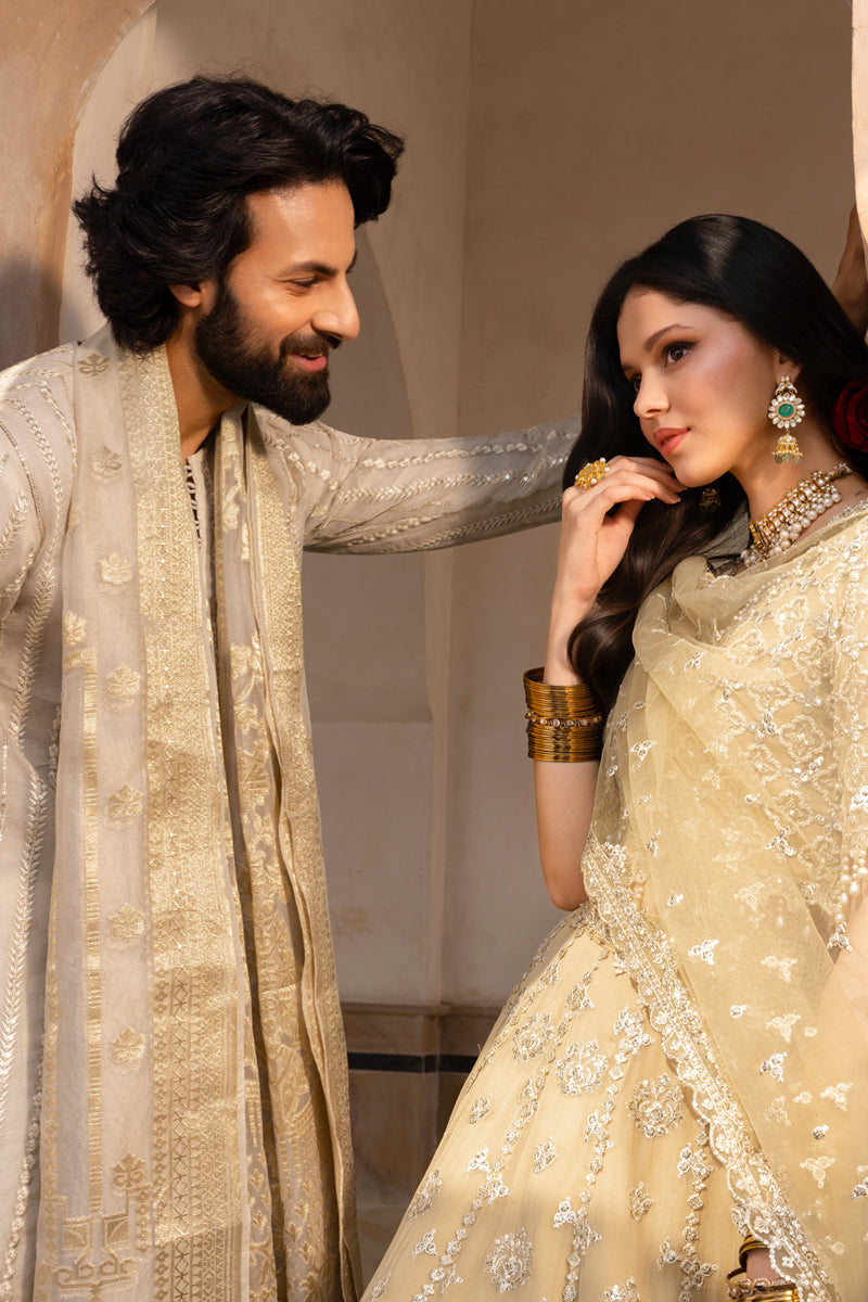Rang Rasiya Embroidered Chiffon Unstitched 3Pc Suit D-01 ZAIENA