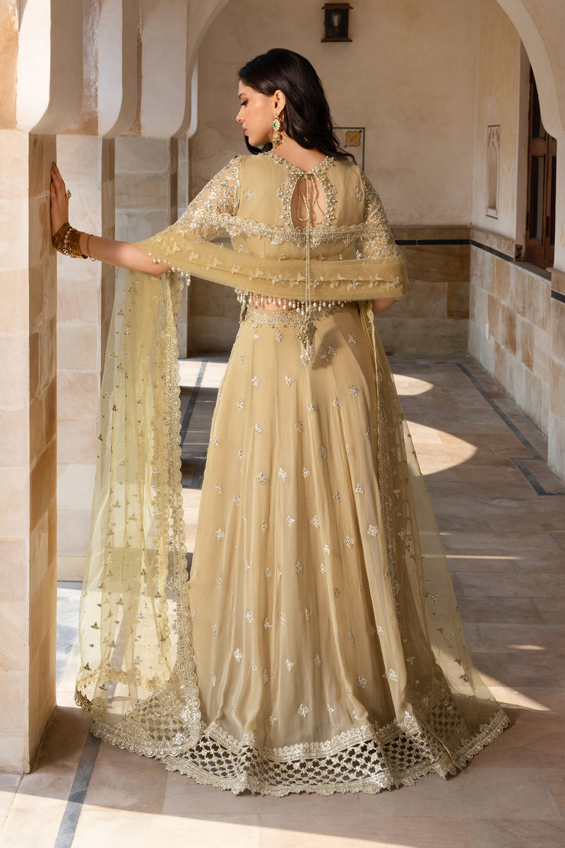 Rang Rasiya Embroidered Chiffon Unstitched 3Pc Suit D-01 ZAIENA