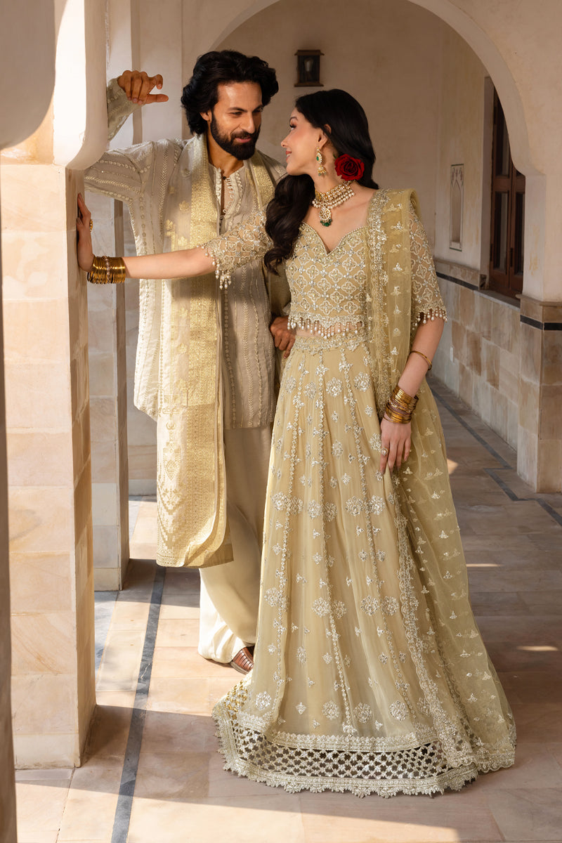 Rang Rasiya Embroidered Chiffon Unstitched 3Pc Suit D-01 ZAIENA