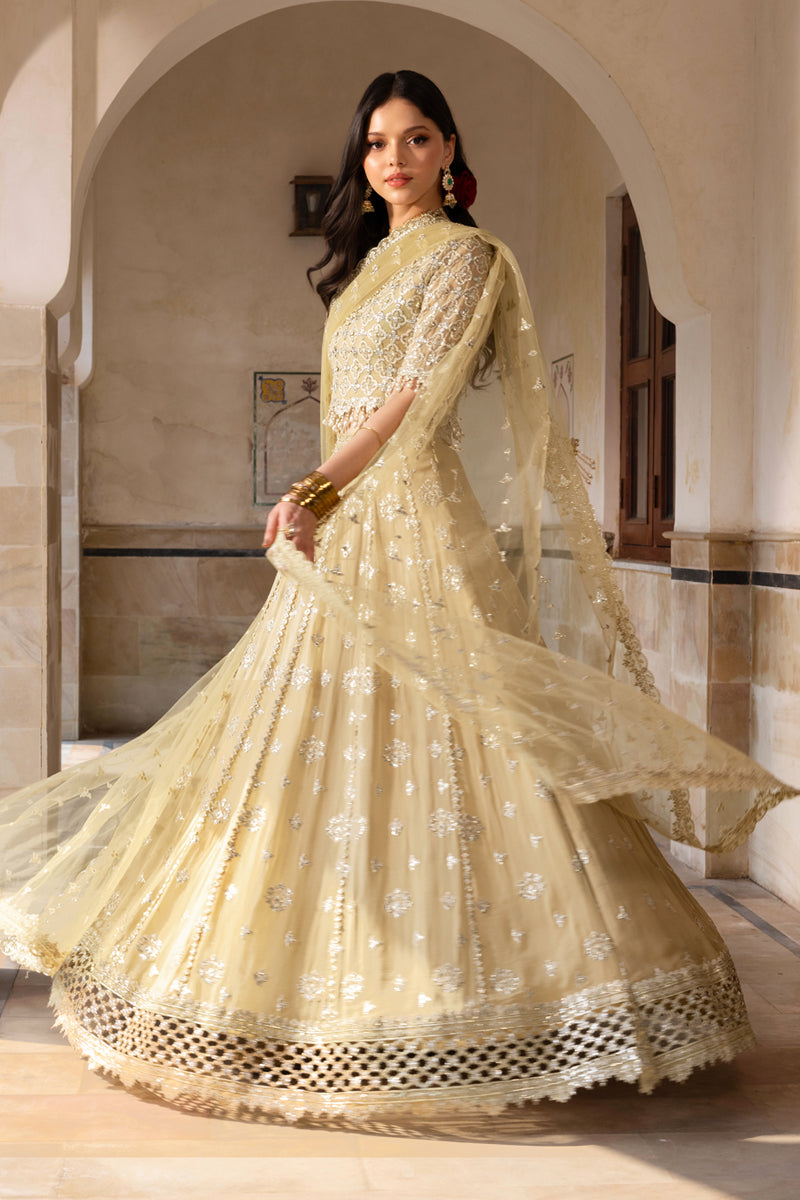 Rang Rasiya Embroidered Chiffon Unstitched 3Pc Suit D-01 ZAIENA