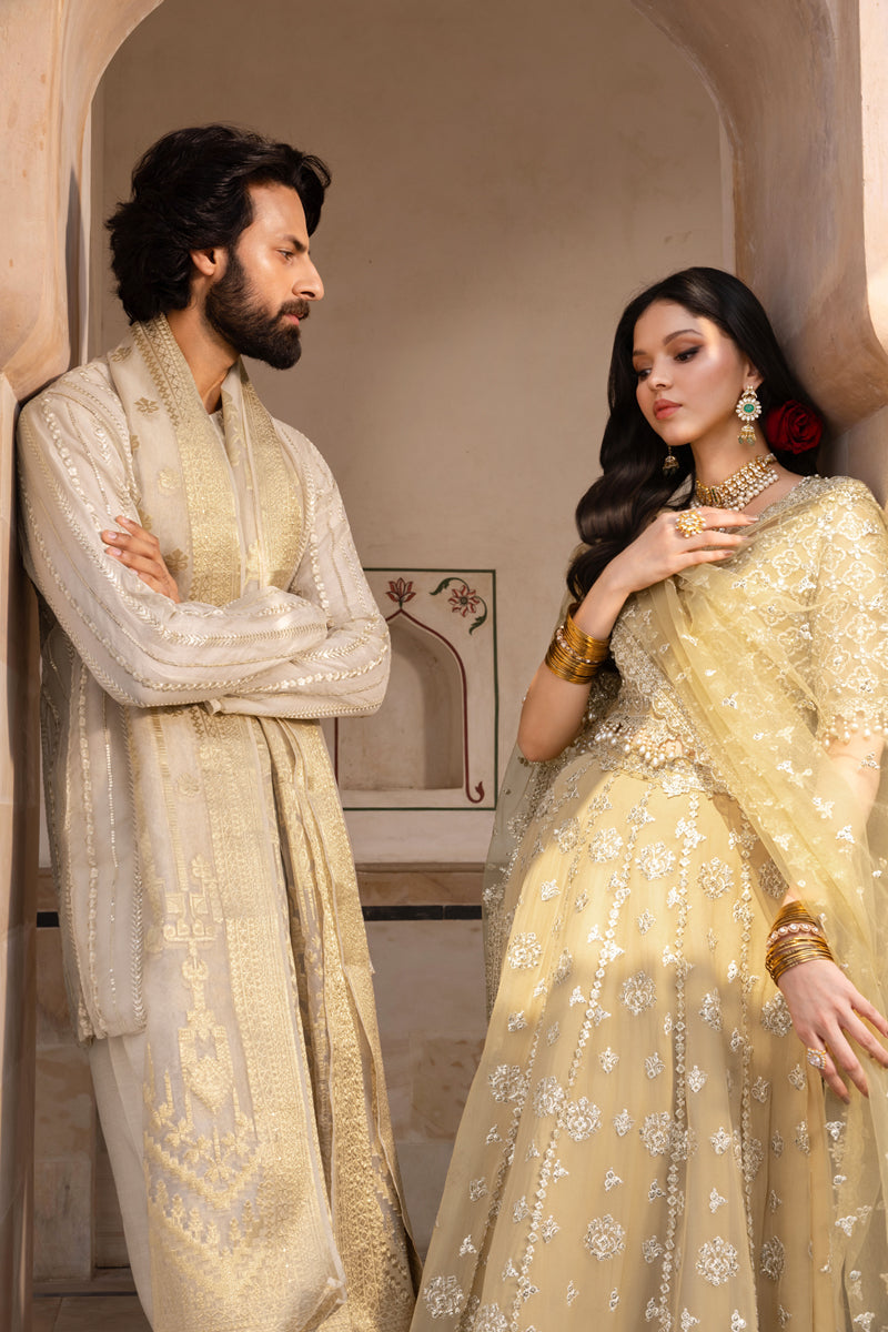 Rang Rasiya Embroidered Chiffon Unstitched 3Pc Suit D-01 ZAIENA