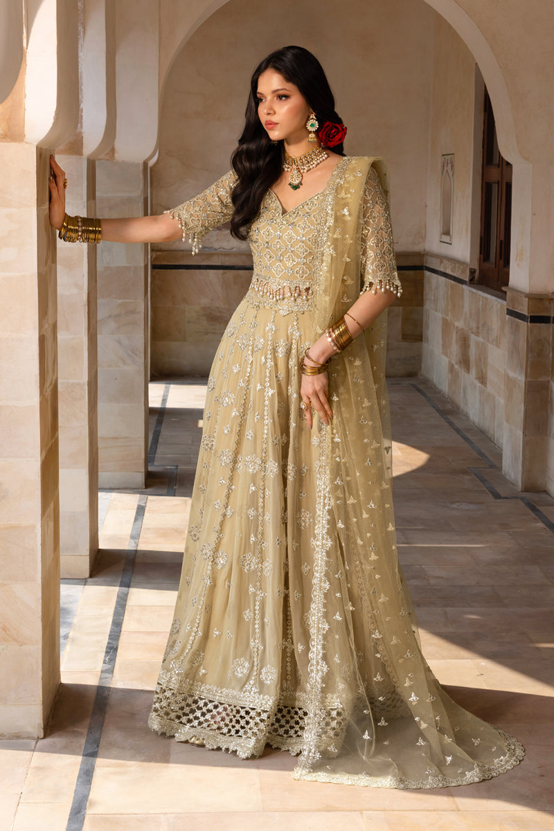 Rang Rasiya Embroidered Chiffon Unstitched 3Pc Suit D-01 ZAIENA