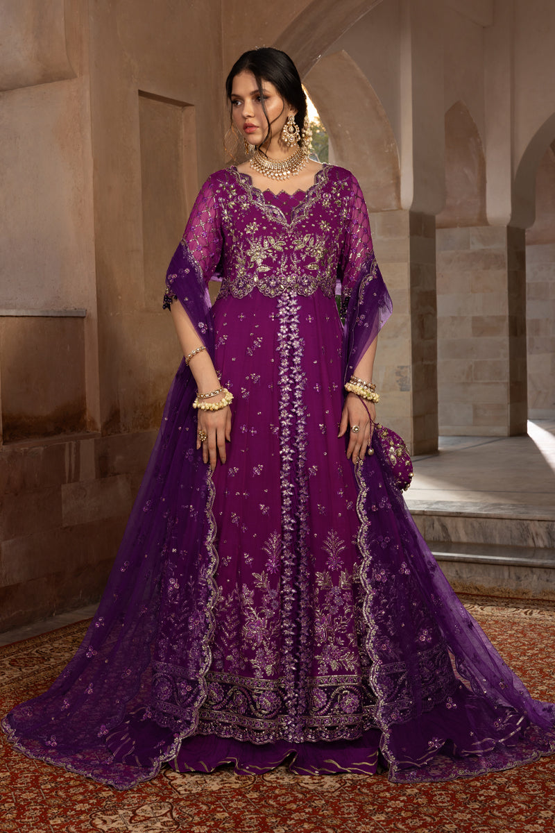 Rang Rasiya Embroidered Chiffon Unstitched 3Pc Suit D-03 AALIYAH