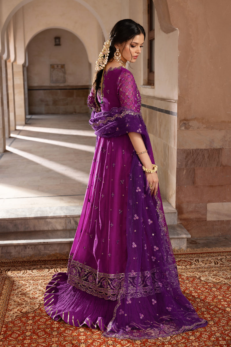 Rang Rasiya Embroidered Chiffon Unstitched 3Pc Suit D-03 AALIYAH