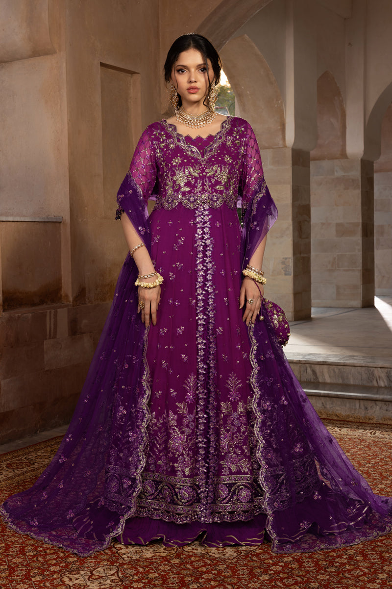 Rang Rasiya Embroidered Chiffon Unstitched 3Pc Suit D-03 AALIYAH