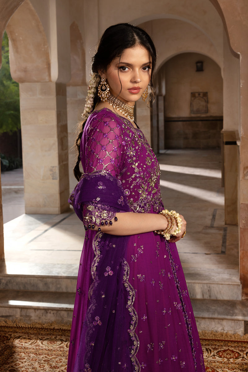 Rang Rasiya Embroidered Chiffon Unstitched 3Pc Suit D-03 AALIYAH