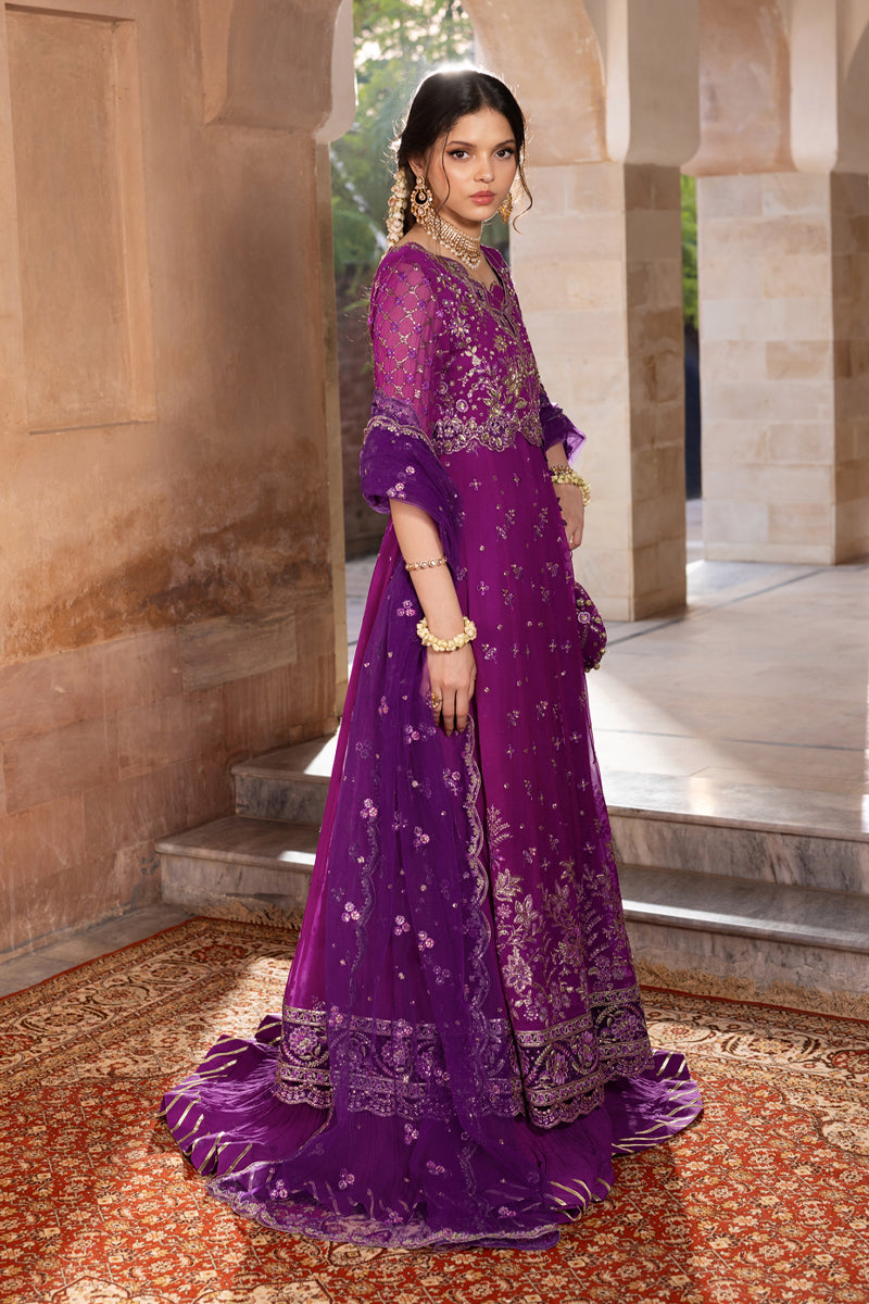 Rang Rasiya Embroidered Chiffon Unstitched 3Pc Suit D-03 AALIYAH